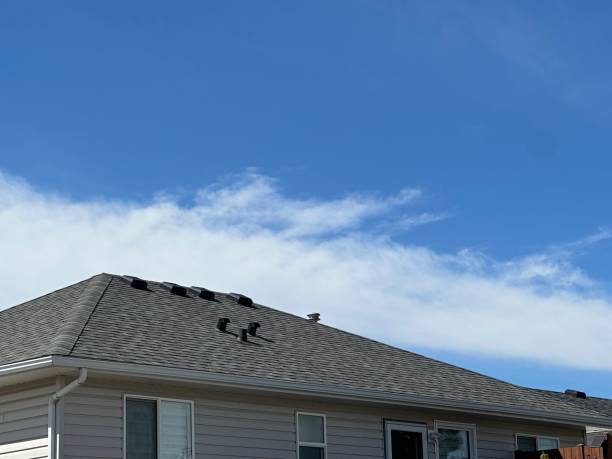 Best Solar Panel Roofing Installation  in Benbrook, TX
